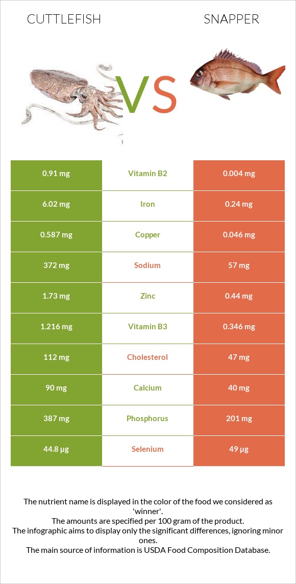 Cuttlefish vs Snapper infographic