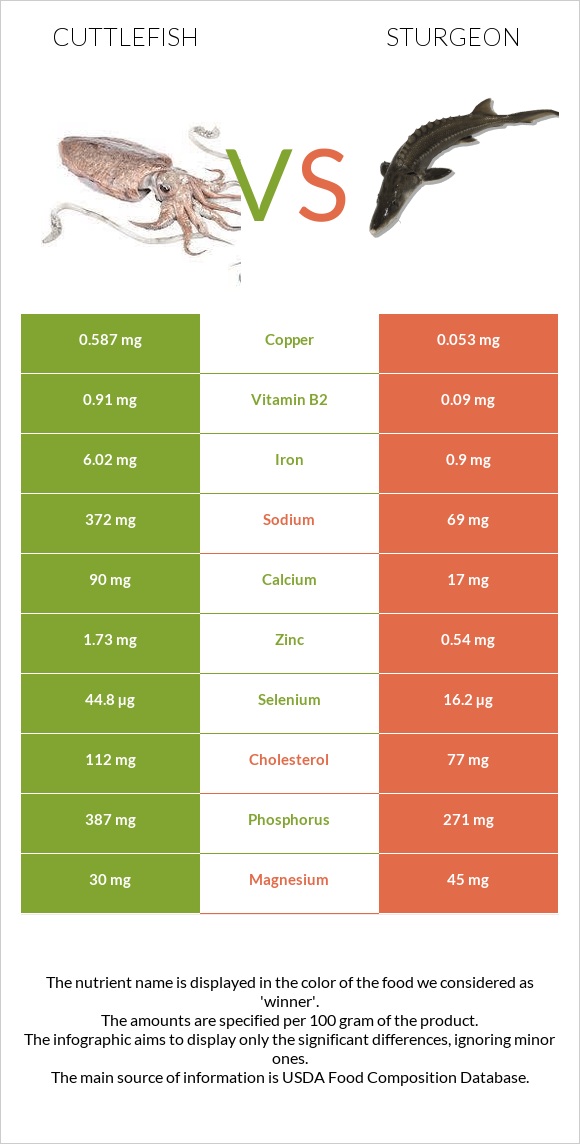 Cuttlefish vs Sturgeon infographic