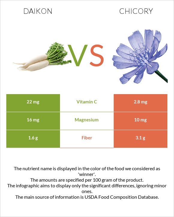 Daikon vs Chicory infographic