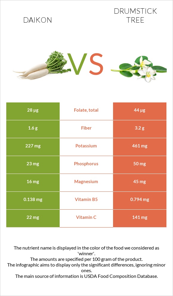 Ճապոնական բողկ vs Drumstick tree infographic