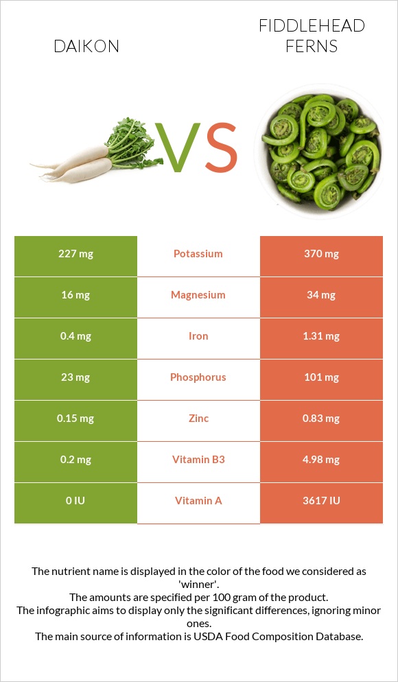 Daikon vs Fiddlehead ferns infographic