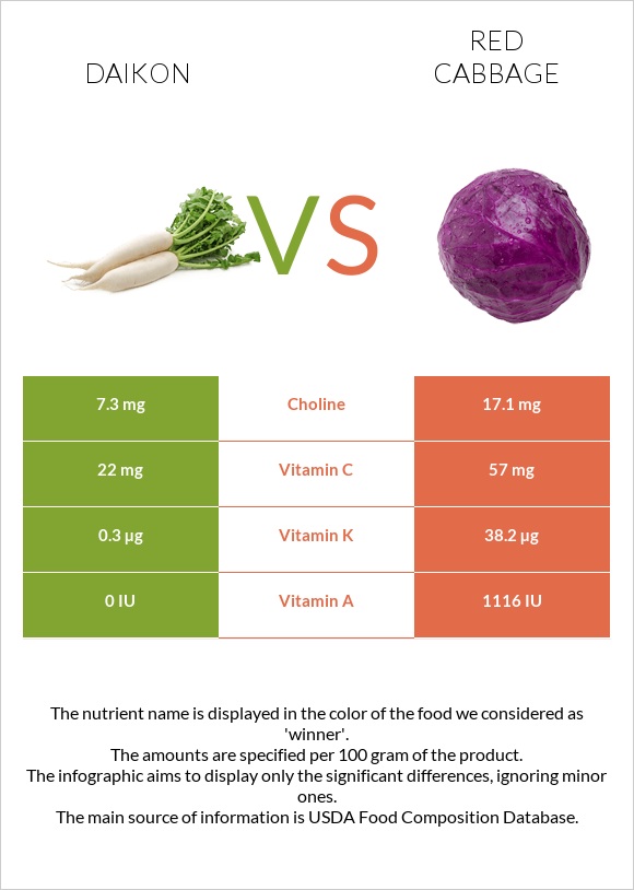 Ճապոնական բողկ vs Կարմիր կաղամբ infographic