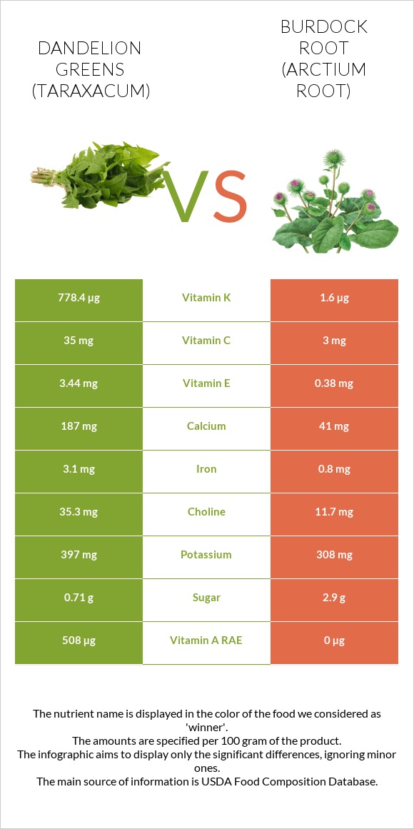 Dandelion greens vs Burdock root infographic