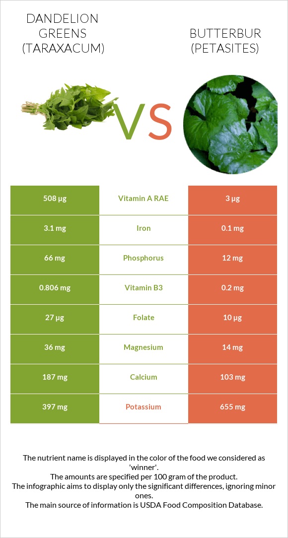 Dandelion greens vs Butterbur infographic