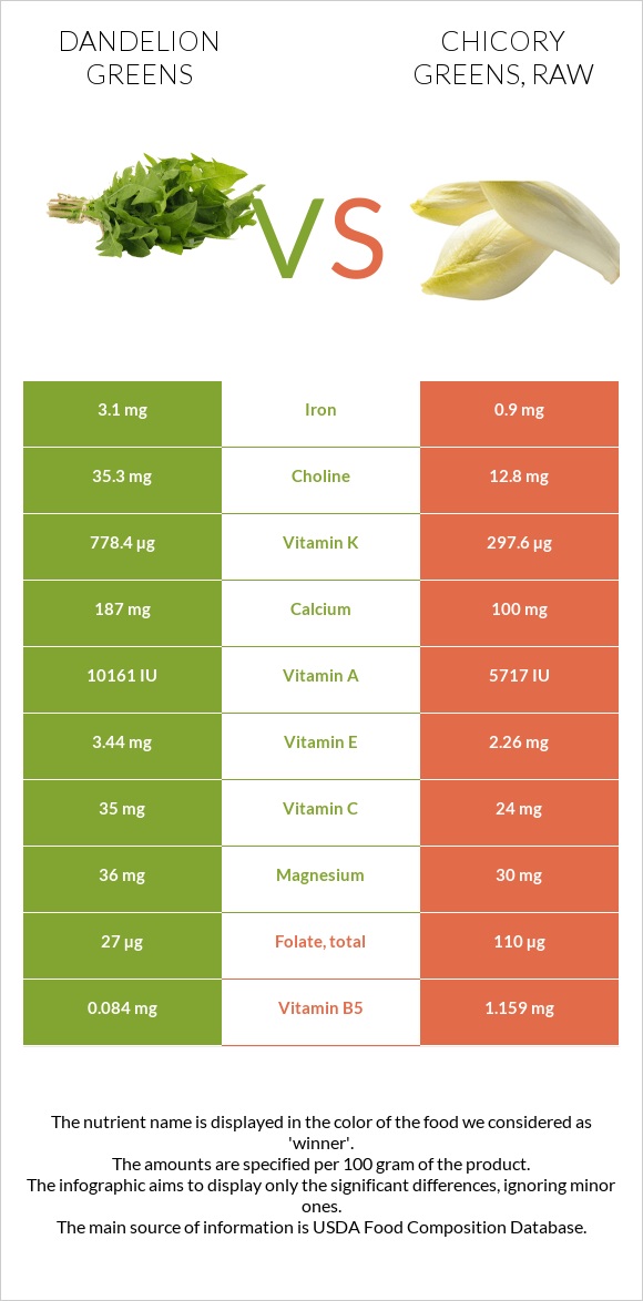 Dandelion greens vs Chicory greens, raw infographic