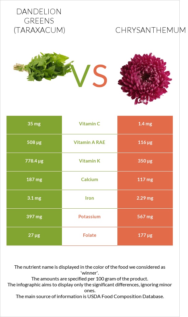 Dandelion greens vs Chrysanthemum infographic