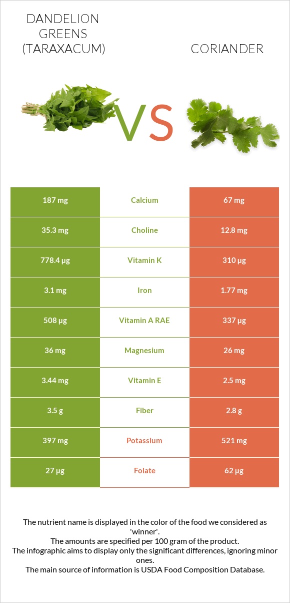 Dandelion greens vs Coriander infographic