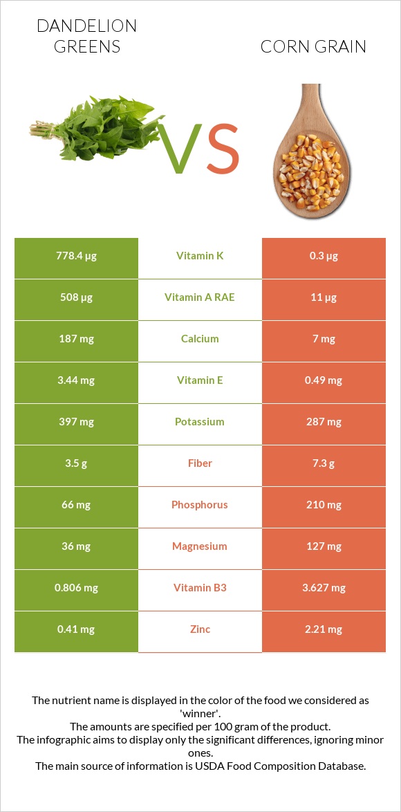 Խտուտիկ vs Corn grain infographic