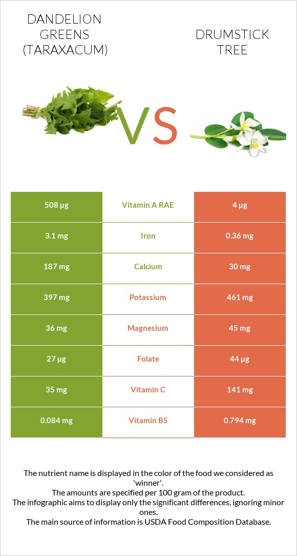 Dandelion greens vs Drumstick tree infographic