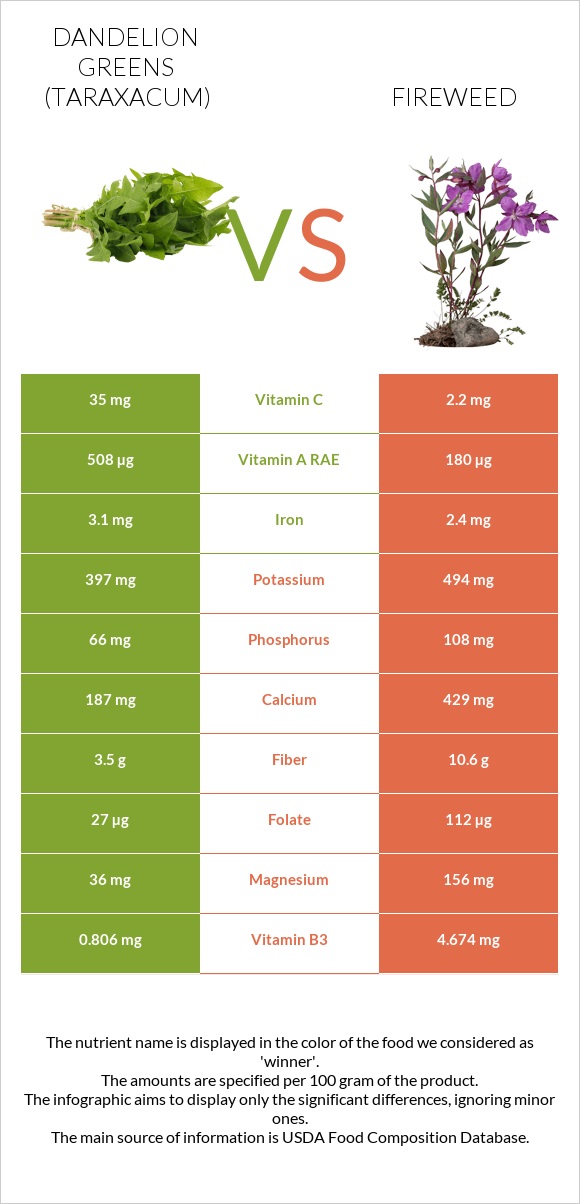 Dandelion greens vs Fireweed infographic