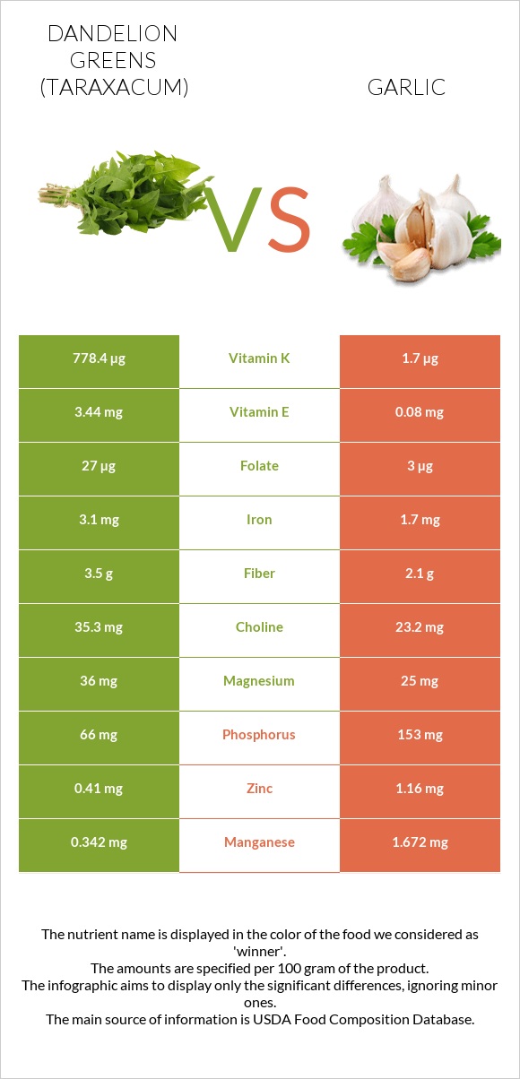 Dandelion greens vs Garlic infographic
