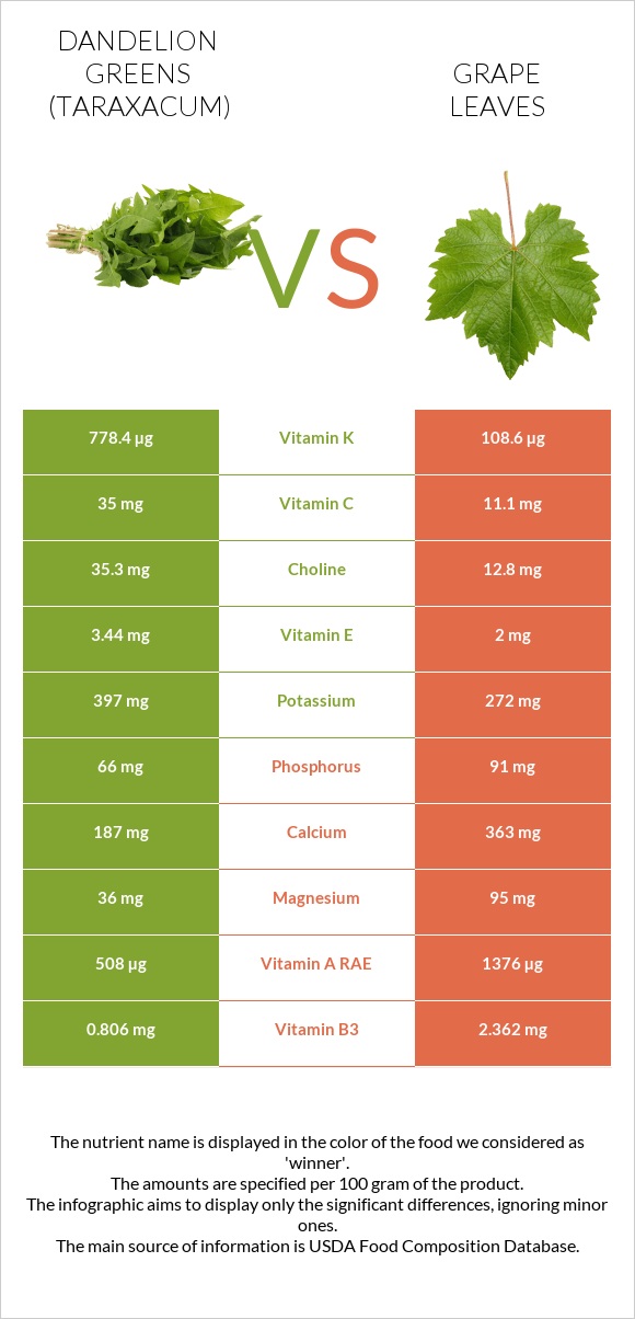 Dandelion greens vs Grape leaves infographic