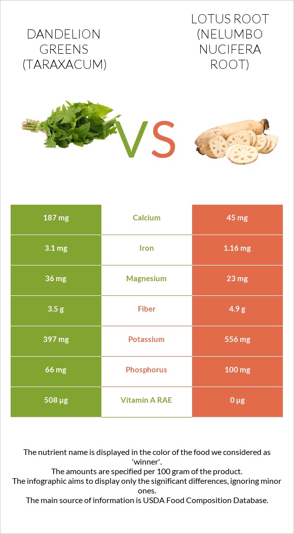 Dandelion greens vs Lotus root infographic