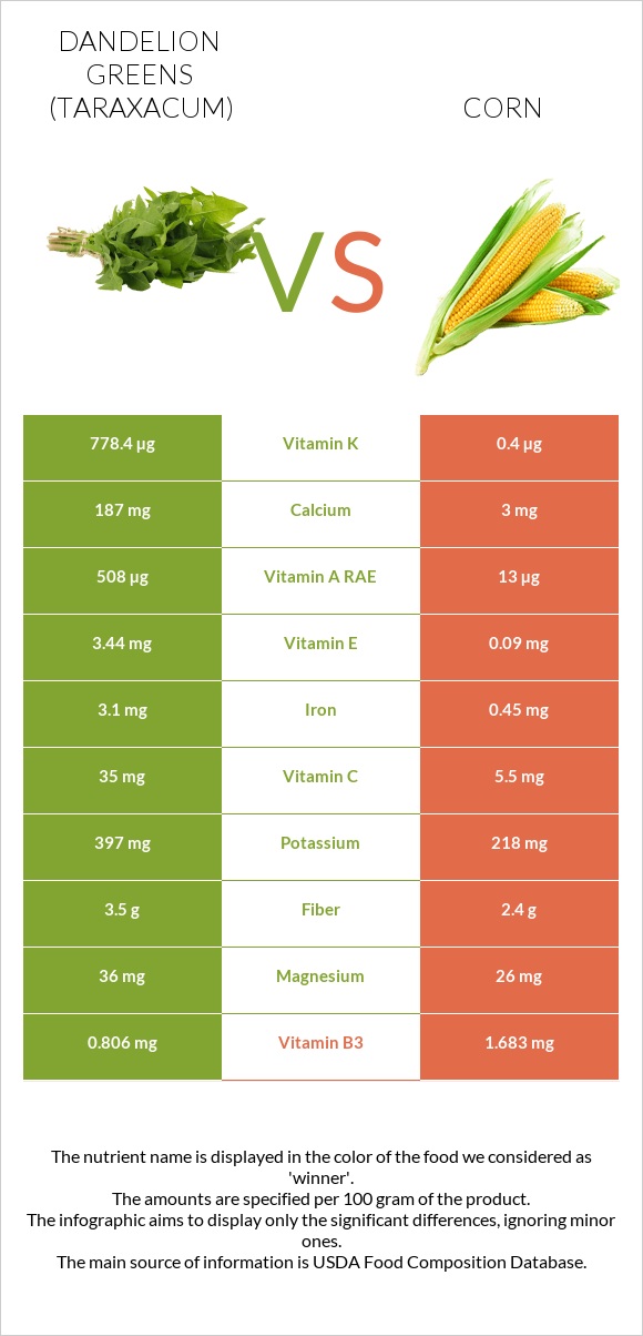 Dandelion greens vs Corn infographic