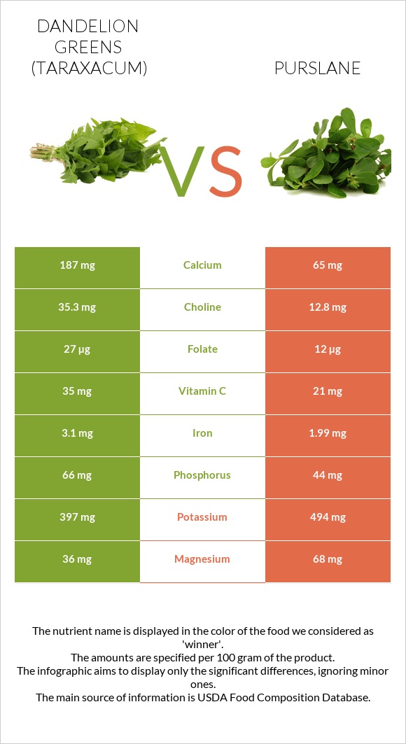Dandelion greens vs Purslane infographic