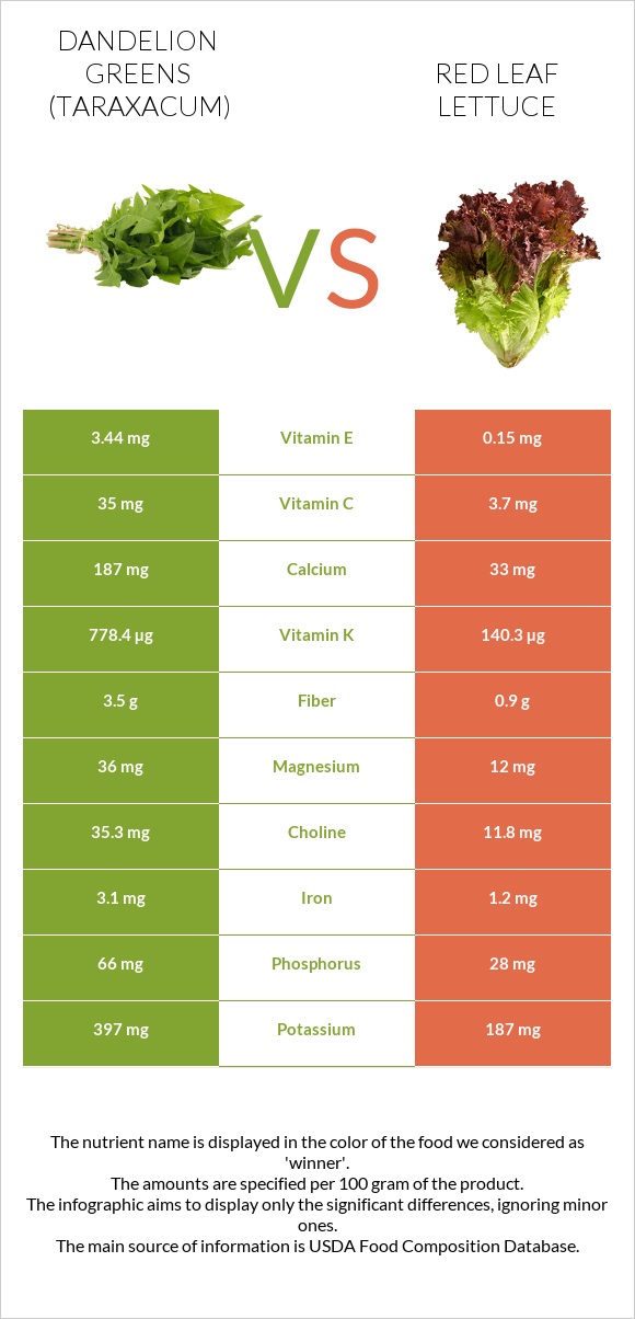 Dandelion greens vs Red leaf lettuce infographic