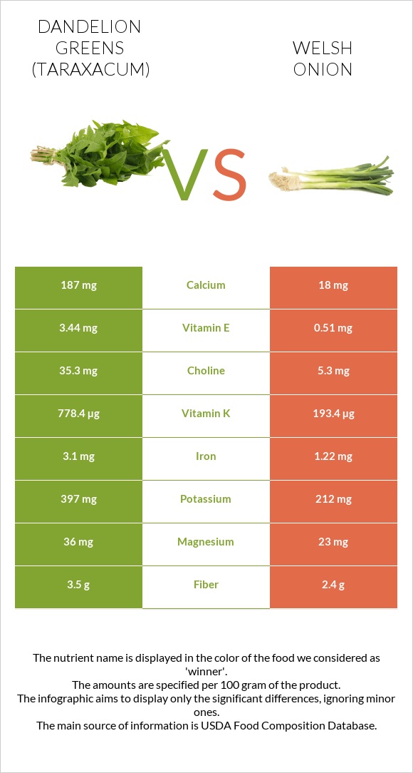Dandelion greens vs Welsh onion infographic
