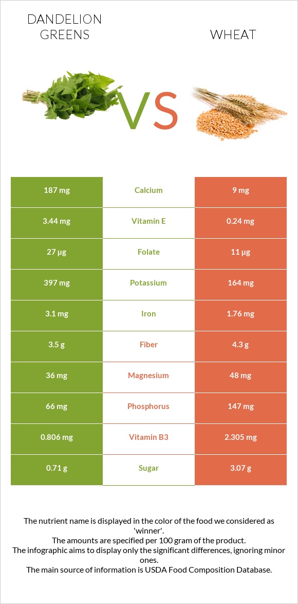 Dandelion greens vs Wheat infographic