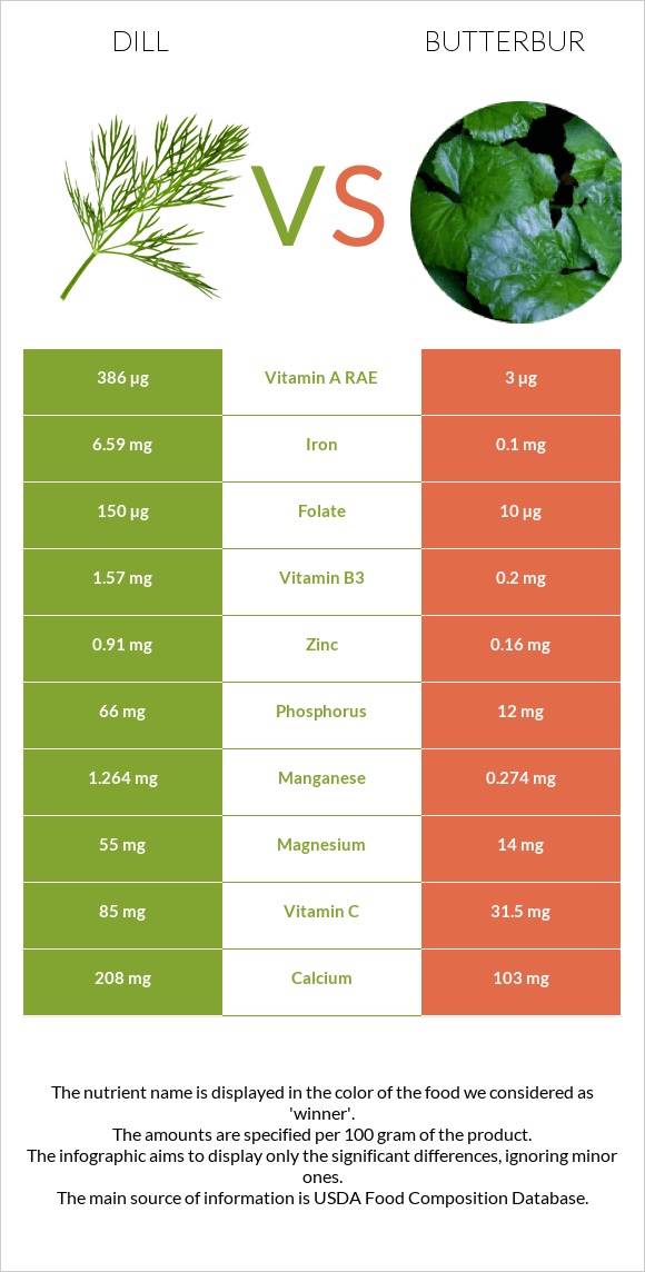 Dill vs Butterbur infographic