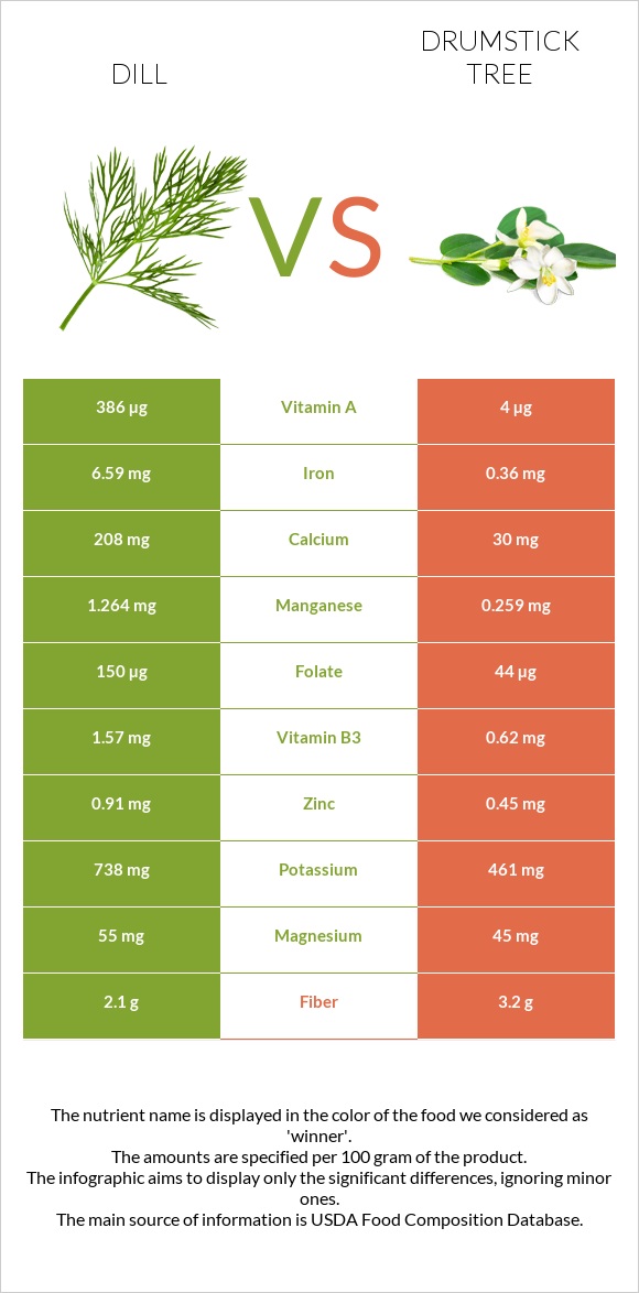 Dill vs Drumstick tree infographic