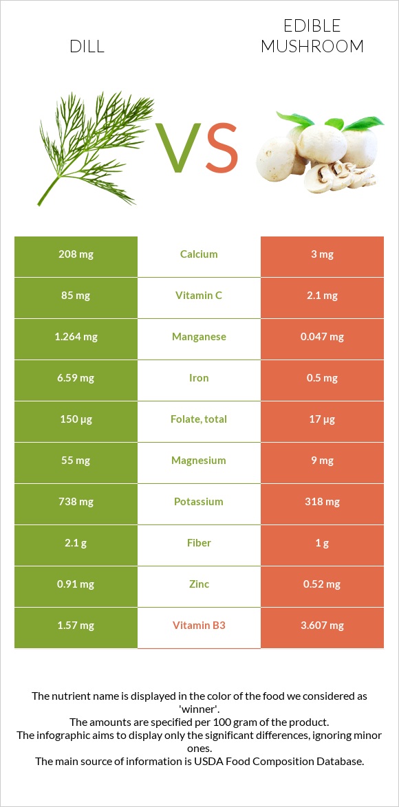 Dill vs Edible mushroom infographic