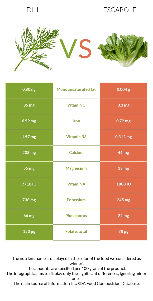 Dill vs Escarole infographic