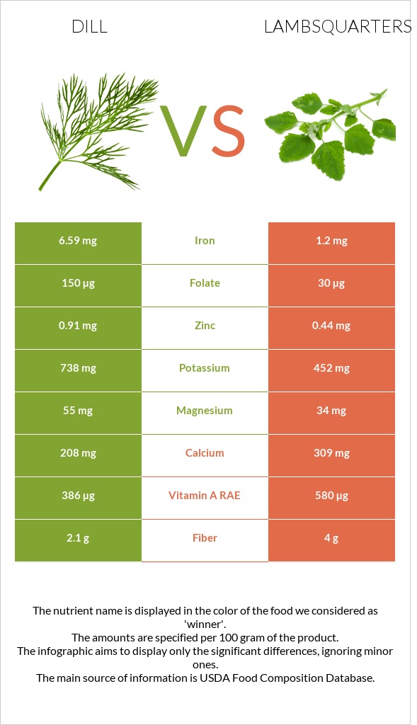 Dill vs Lambsquarters infographic