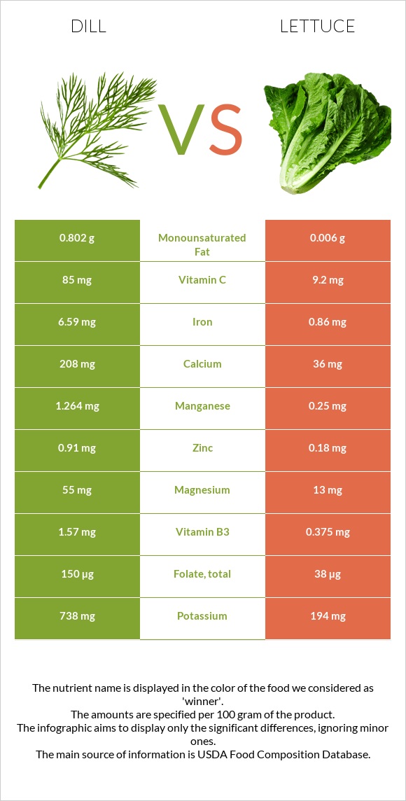 Dill vs Lettuce infographic