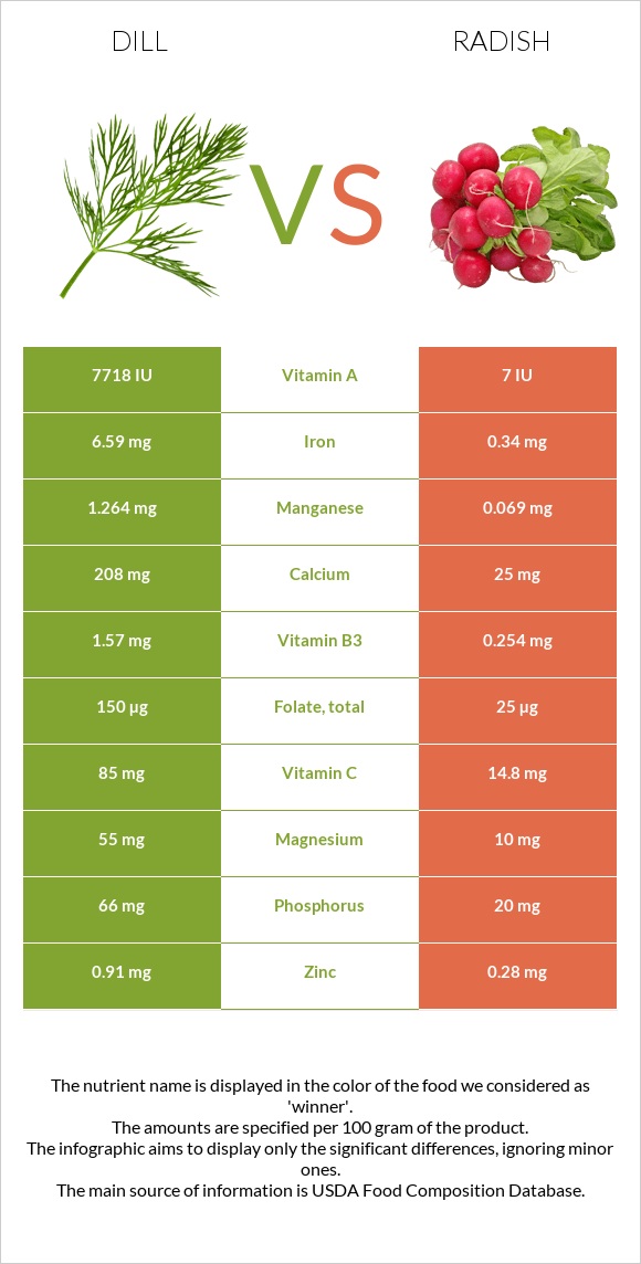 Dill vs Radish infographic