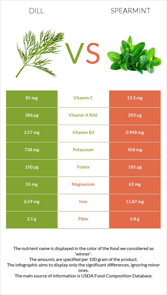 Dill vs Spearmint infographic