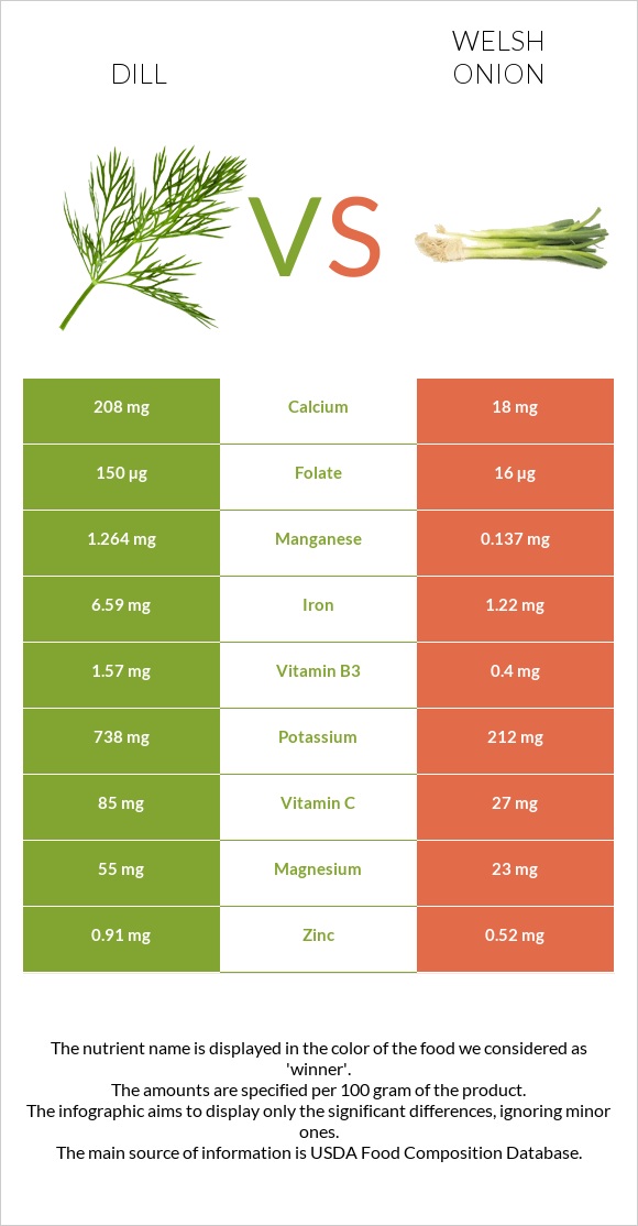 Dill vs Welsh onion infographic