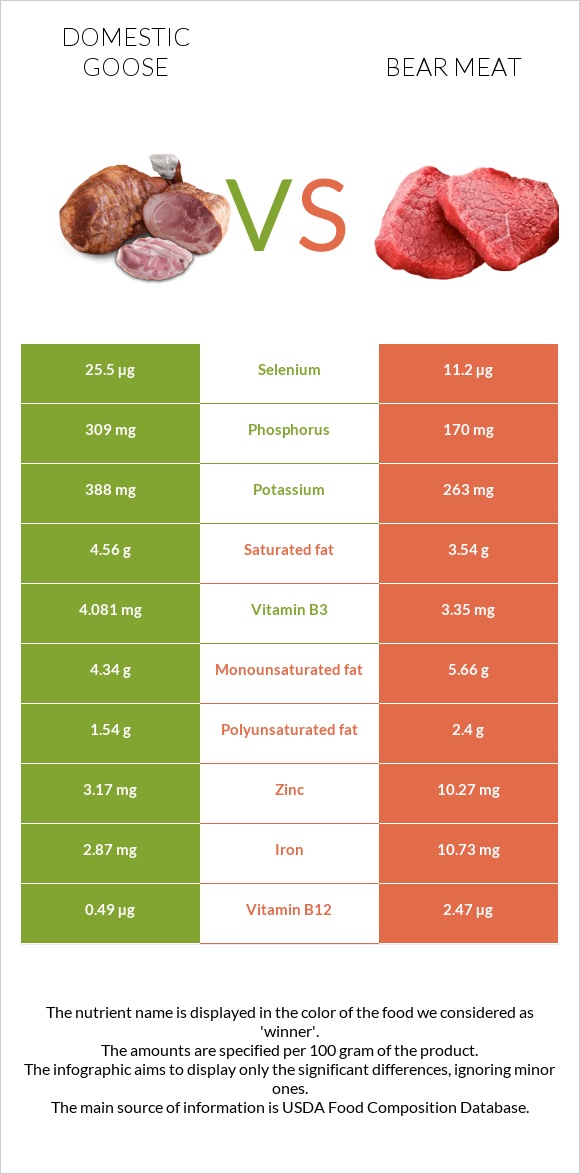 Ընտանի սագ vs Bear meat infographic