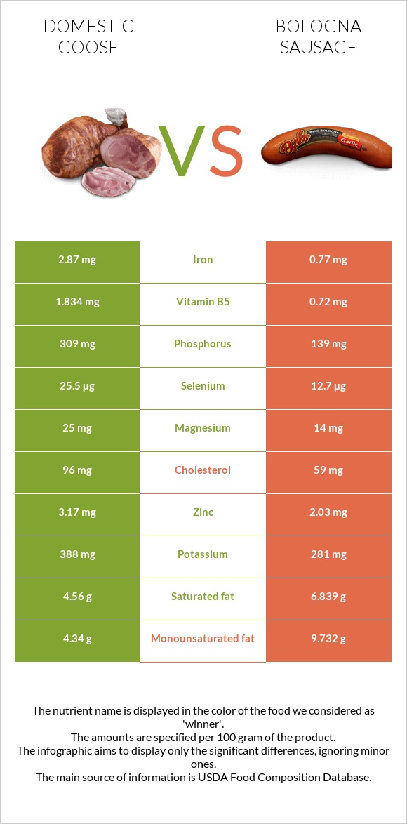 Ընտանի սագ vs Բոլոնիայի երշիկ infographic