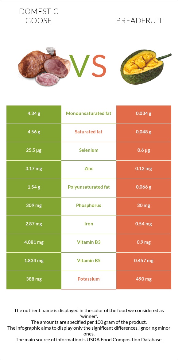 Ընտանի սագ vs Հացի ծառ infographic