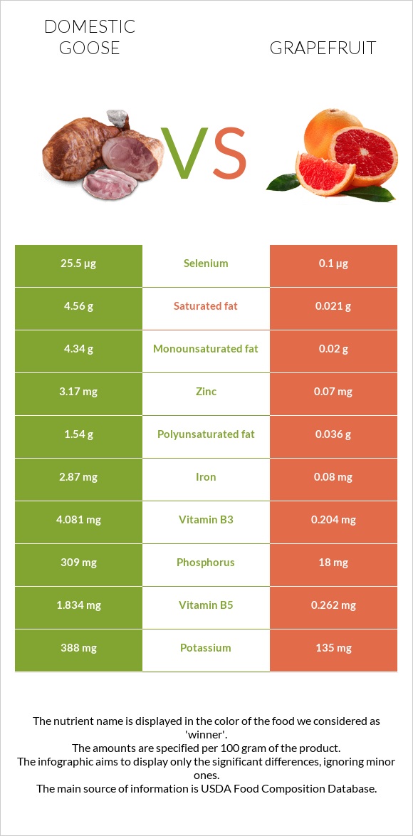 Domestic goose vs Grapefruit infographic