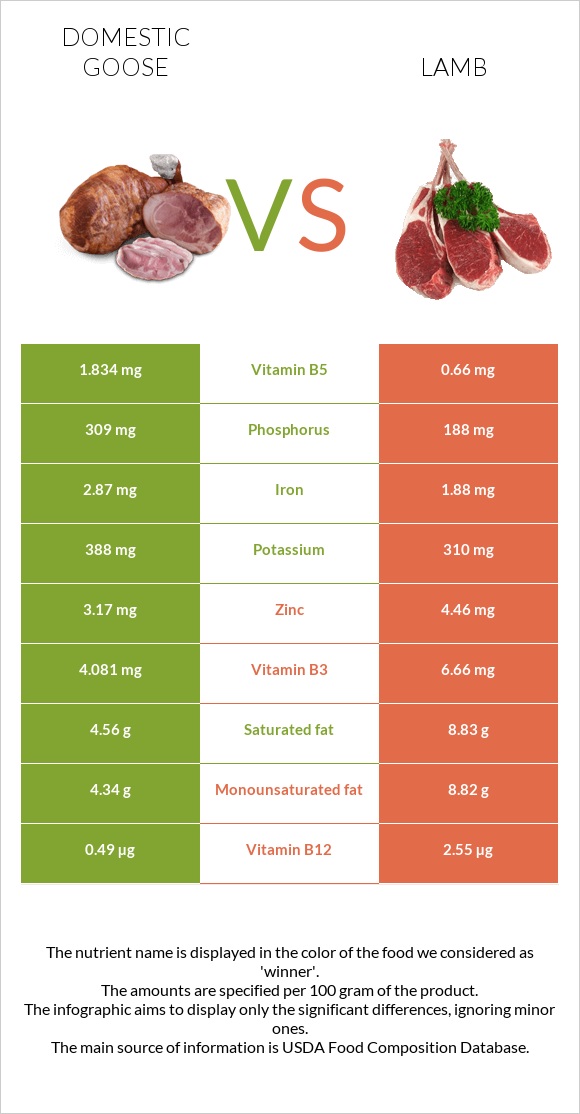 Ընտանի սագ vs Գառ infographic