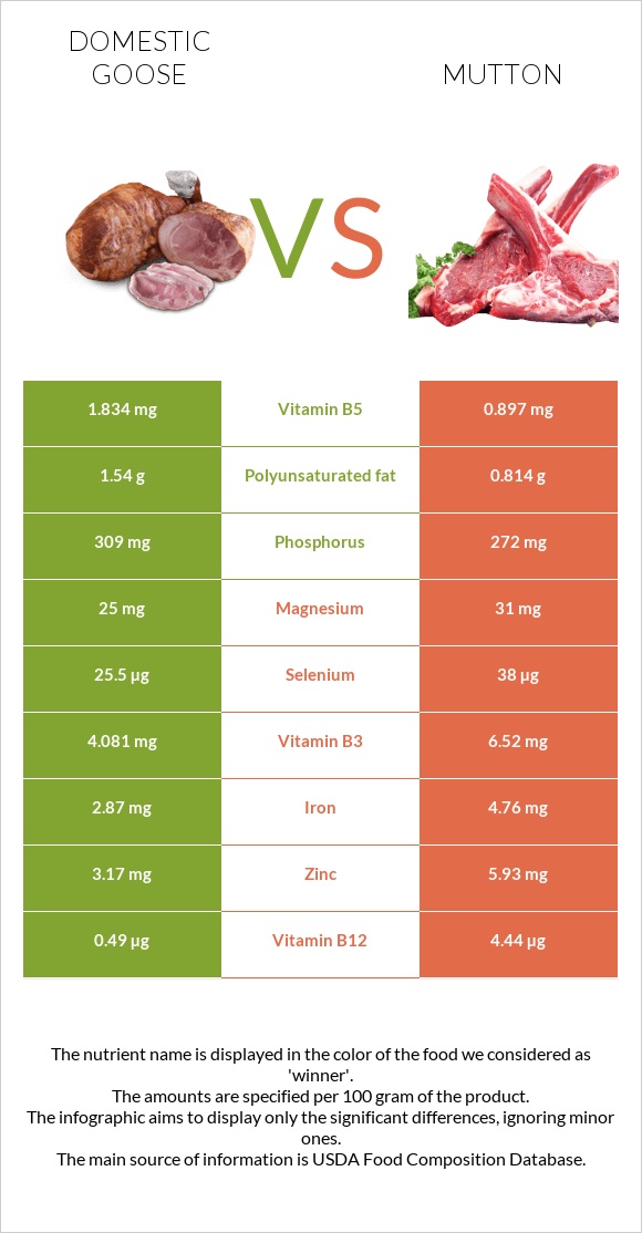 Ընտանի սագ vs Ոչխարի միս infographic