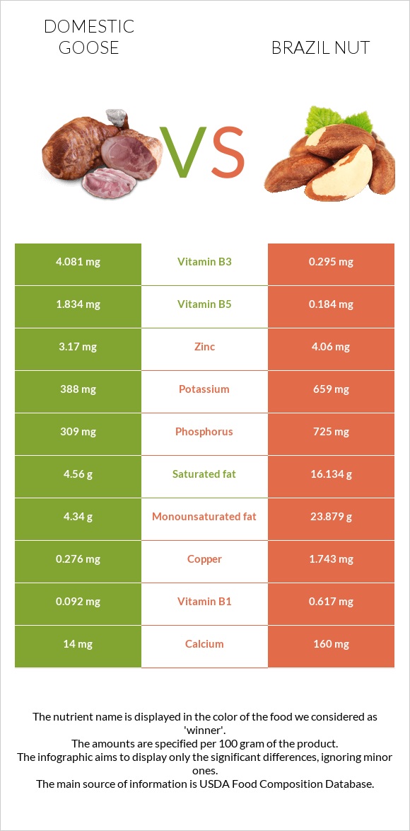 Domestic goose vs Brazil nut infographic