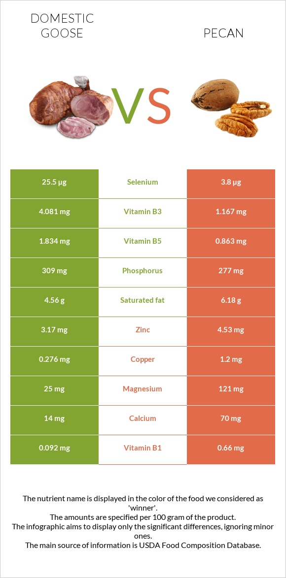 Domestic goose vs Pecan infographic