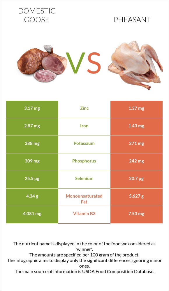 Domestic goose vs Pheasant infographic