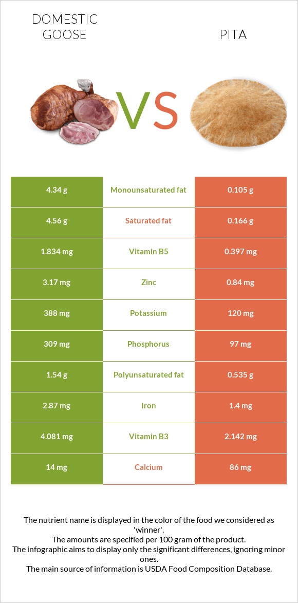 Ընտանի սագ vs Պիտա հաց infographic