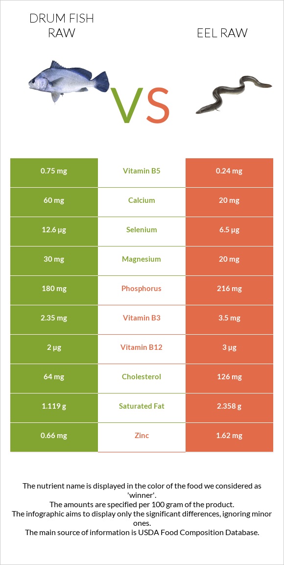 Drum fish raw vs Eel raw infographic