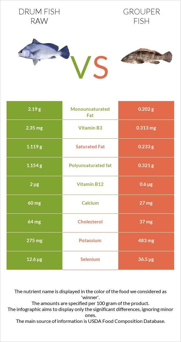 Drum fish raw vs Grouper fish infographic