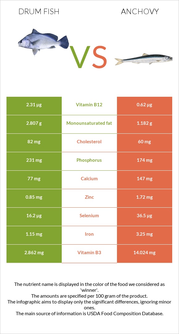 Drum fish vs Anchovy infographic