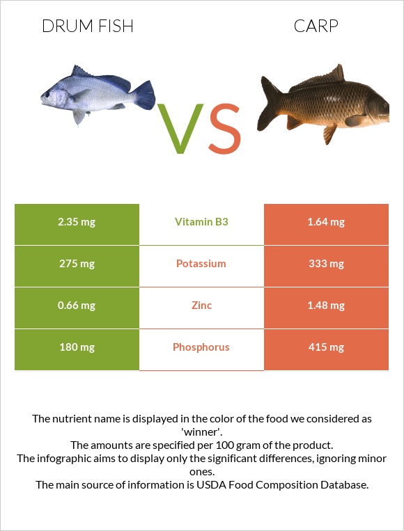 Drum fish vs Carp infographic
