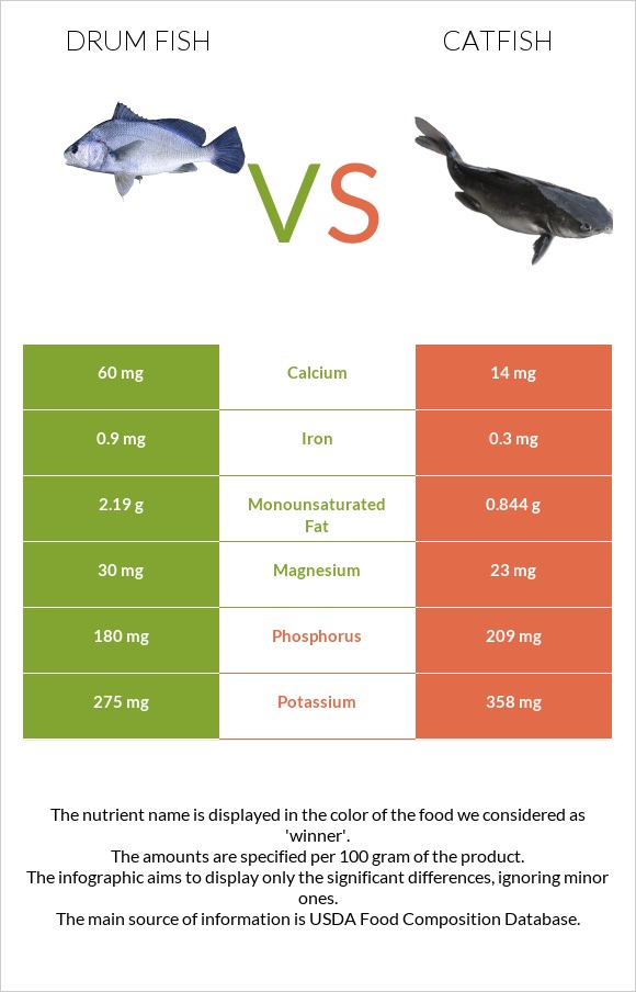 Drum fish vs Catfish infographic