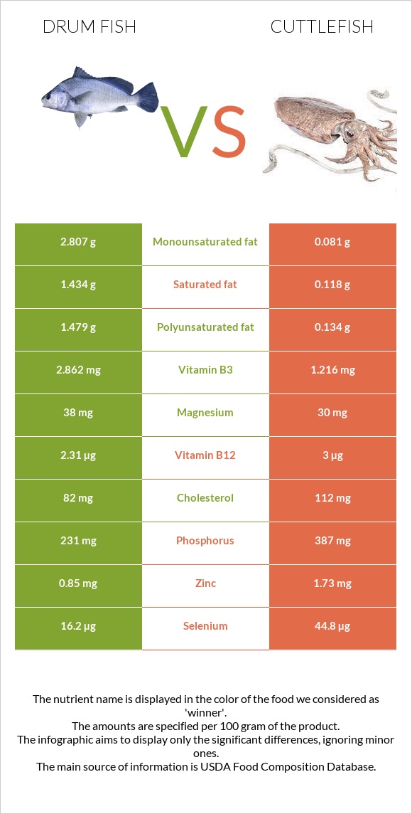 Drum fish vs Cuttlefish infographic