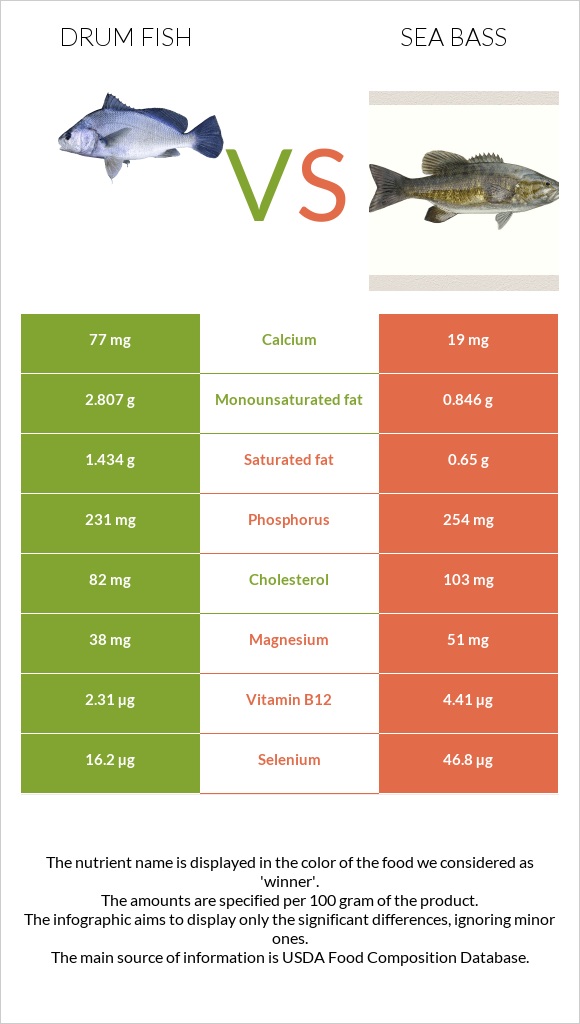 Drum fish vs Sea bass infographic