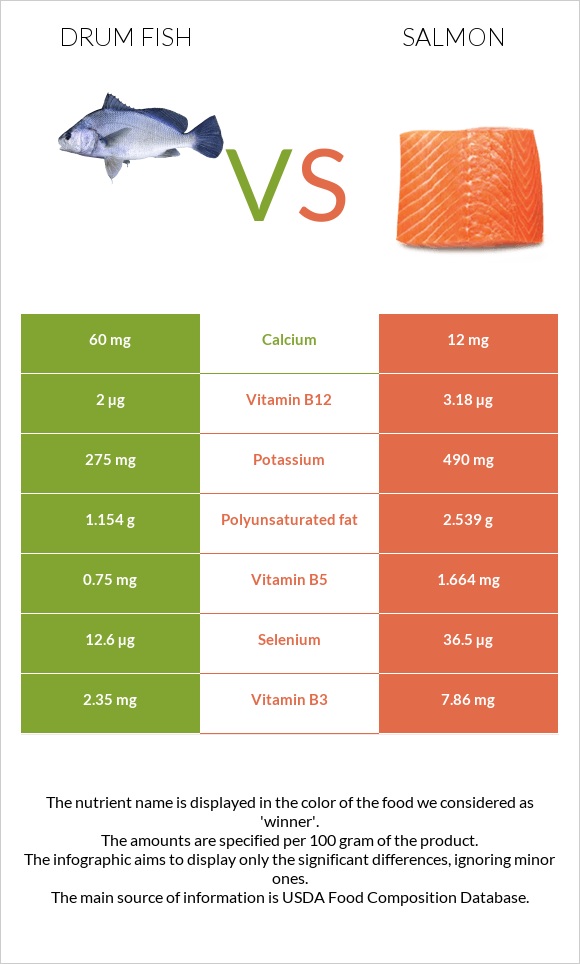 Drum fish vs Salmon infographic