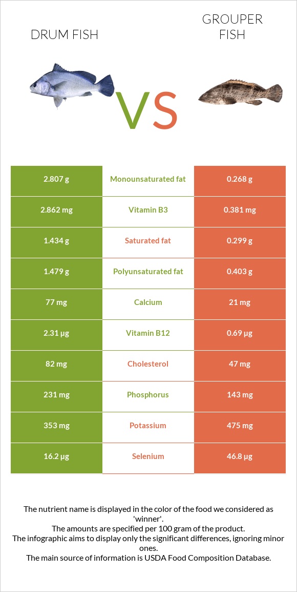 Drum fish vs Grouper fish infographic